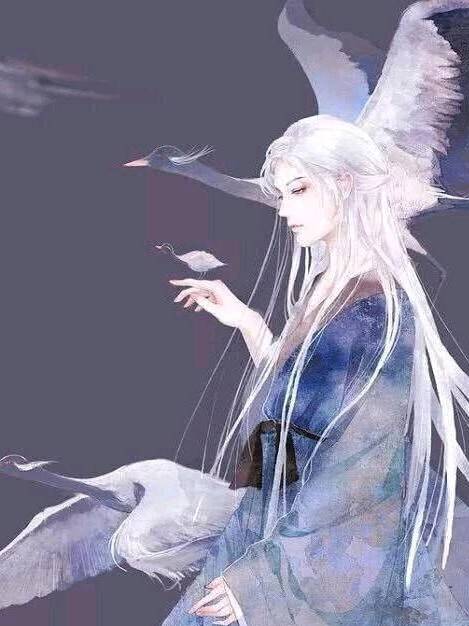 病美人的白月光师尊［穿书］